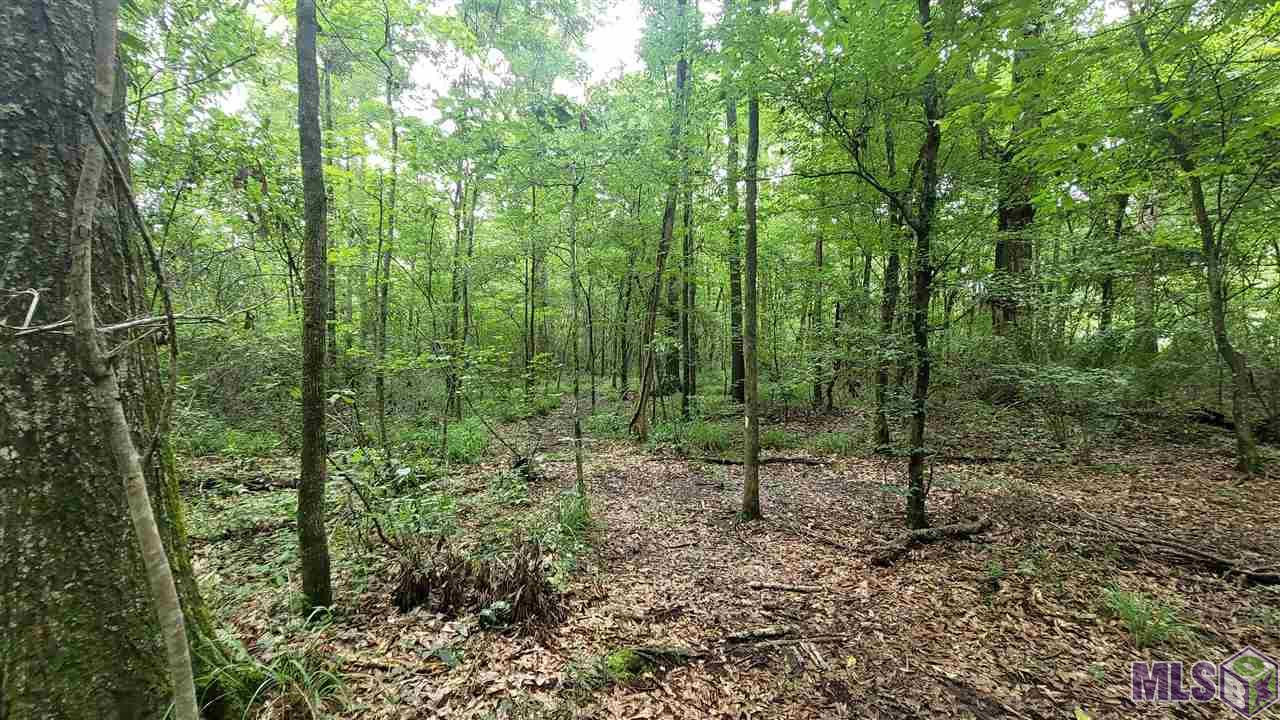 0 Randall Road Hammond, LA 70401 - Photo 3 of 5