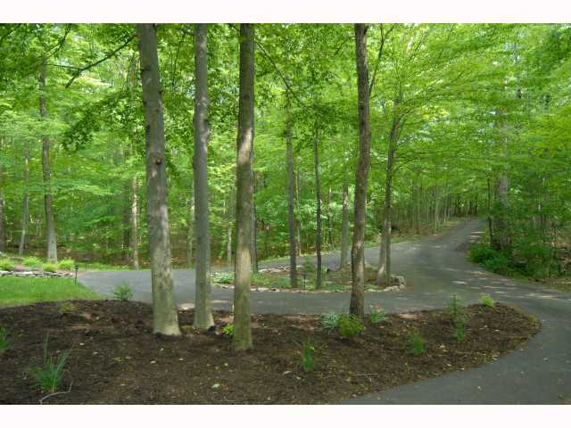 6920 Cook Road Powell, OH 43065 - Photo 3 of 18 Gallery Image 3