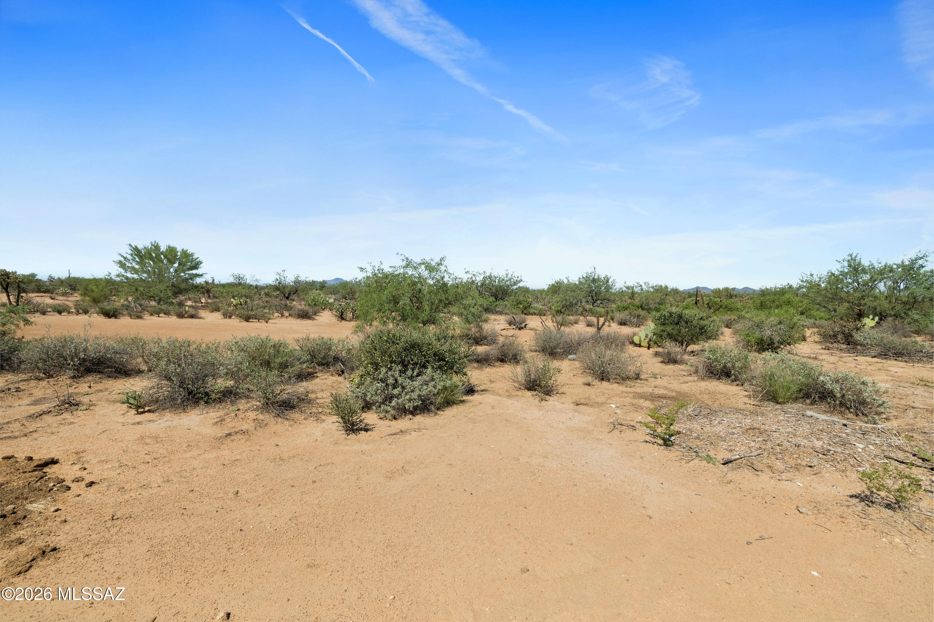 8740 South Sandario Road Tucson, AZ 85736 - Photo 3 of 16 5Y9A5840