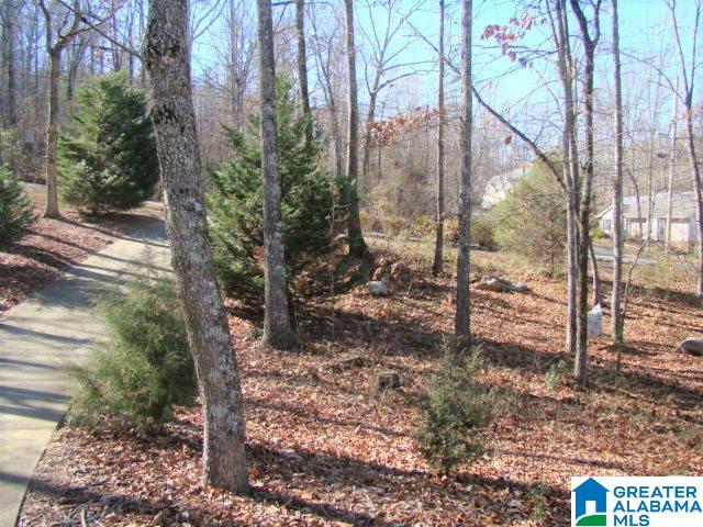 369 Canyon Trail Alexandria, AL 36250 - Photo 9 of 44