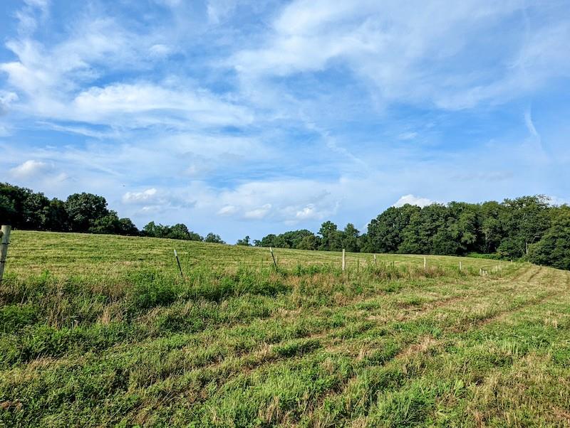 Tbd Red Oak Grove Road Northeast Floyd, VA 24091 - Photo 27 of 33 Gallery Image 27