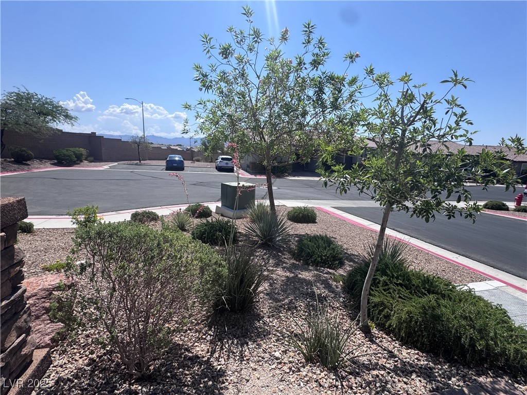 2653 Crystal Blue Street Laughlin, NV 89029 - Photo 3 of 26