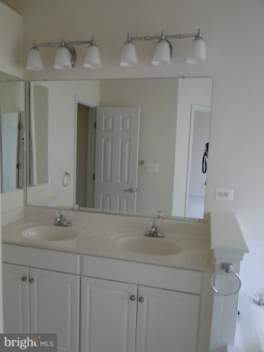 41948 Beryl Terrace Stone Ridge, VA 20105 - Photo 18 of 21 Bath (Master)