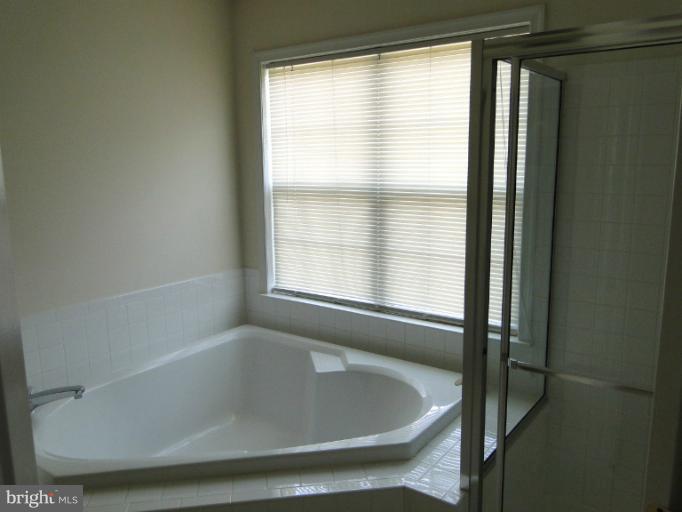 41948 Beryl Terrace Stone Ridge, VA 20105 - Photo 8 of 21 Bath (Master)