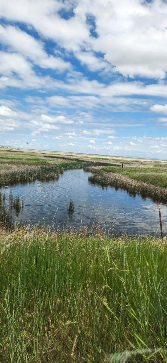 26 Sun River Cascade Road Sun River, MT 59483 - Photo 30 of 33 Gallery Image 30