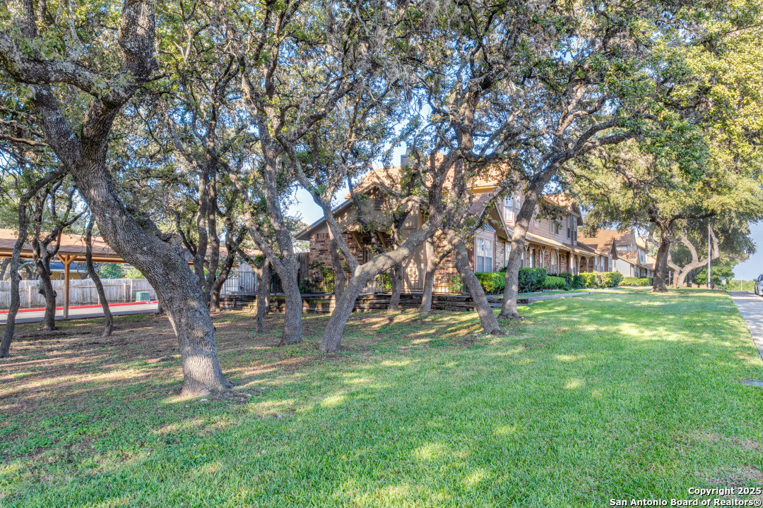 10254 Dover Ridge, Unit 204 San Antonio, TX 78250 - Photo 4 of 31 a garden with trees