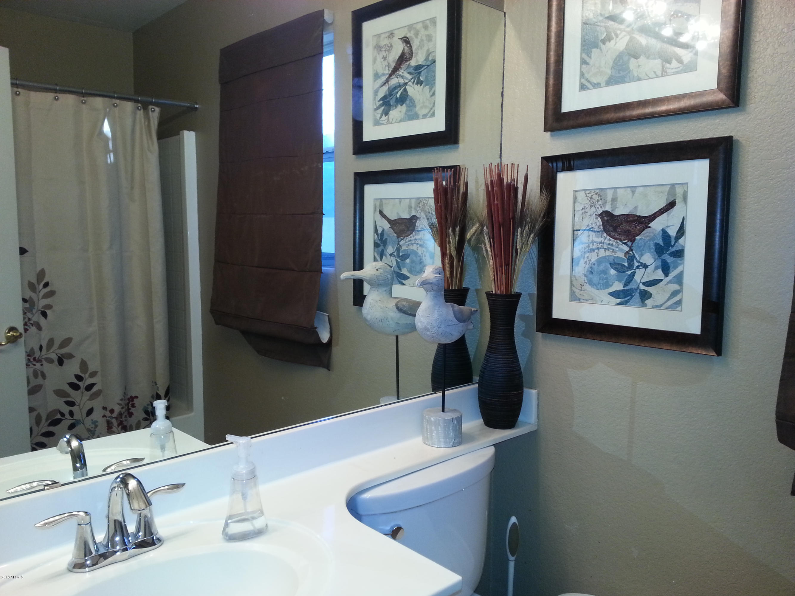 13375 West Redfield Road Surprise, AZ 85379 - Photo 21 of 30 guest bath