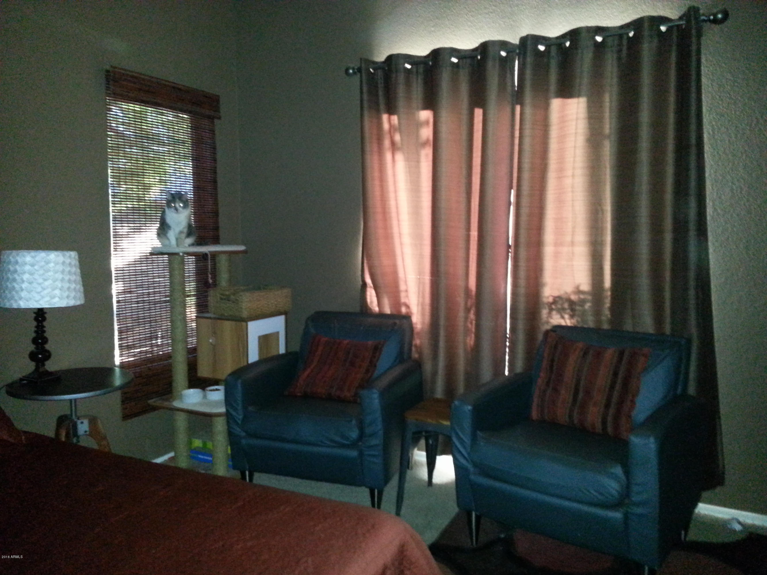 13375 West Redfield Road Surprise, AZ 85379 - Photo 23 of 30 master seating