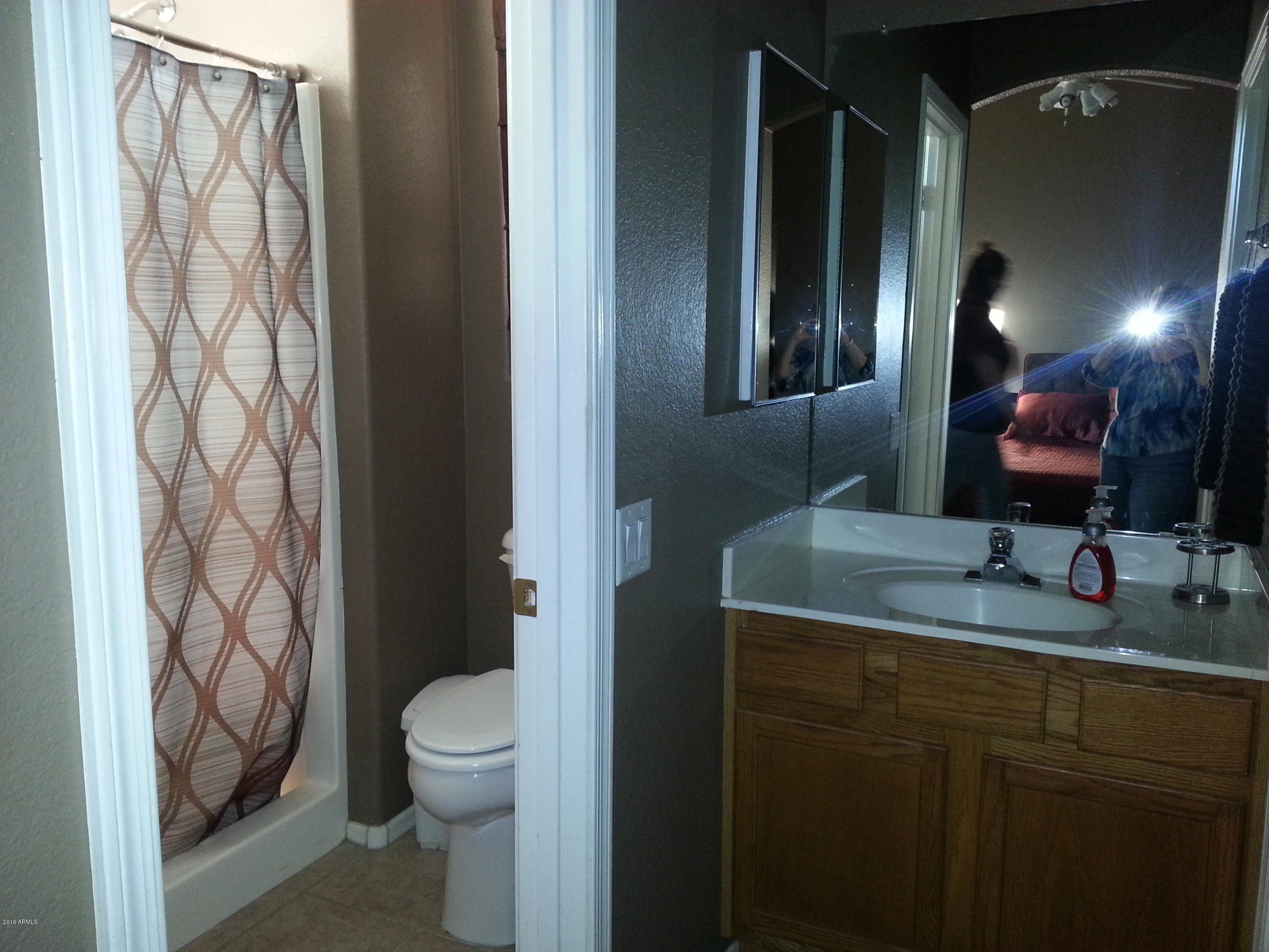13375 West Redfield Road Surprise, AZ 85379 - Photo 25 of 30 master bath