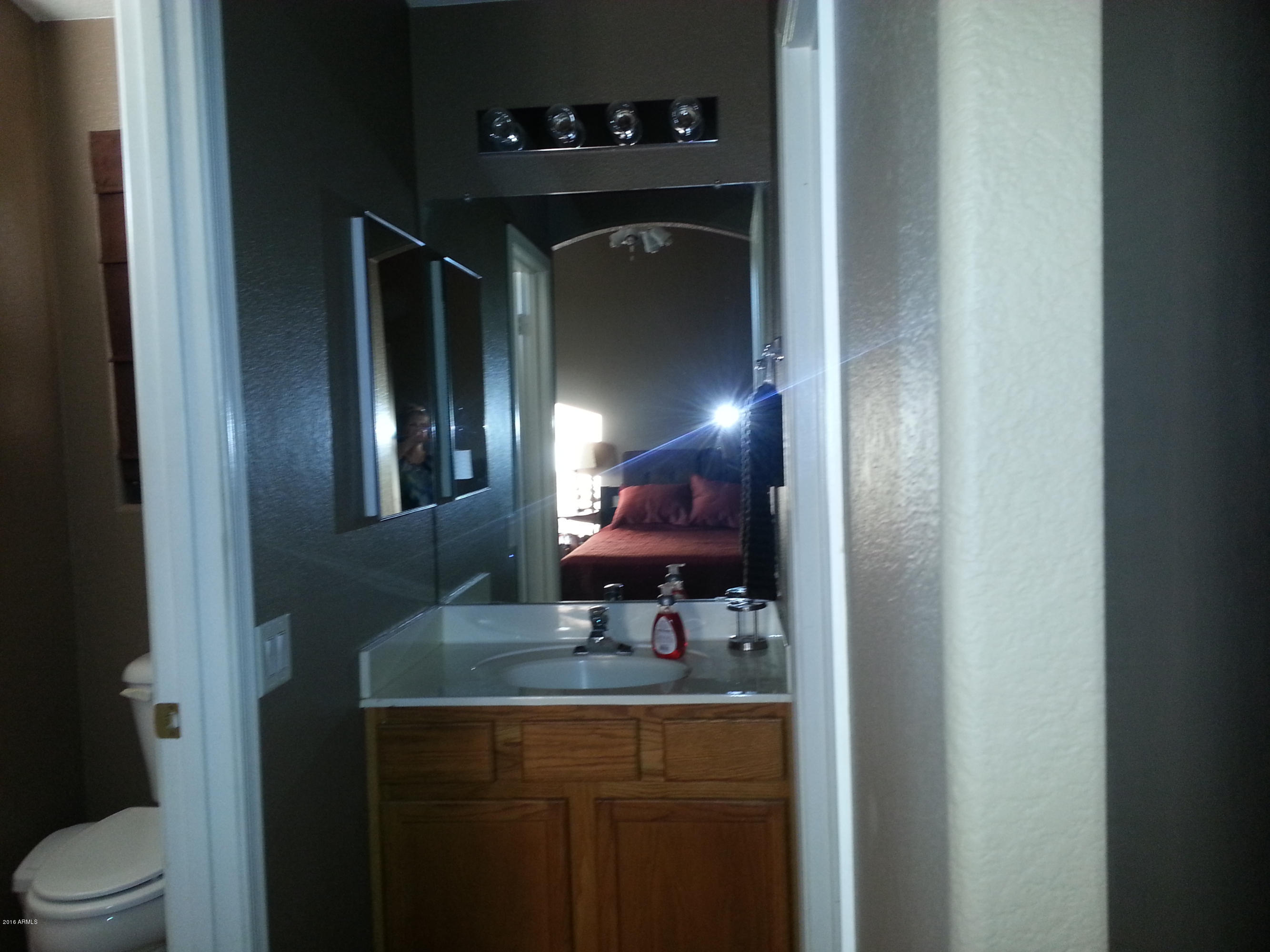 13375 West Redfield Road Surprise, AZ 85379 - Photo 26 of 30 master bath2