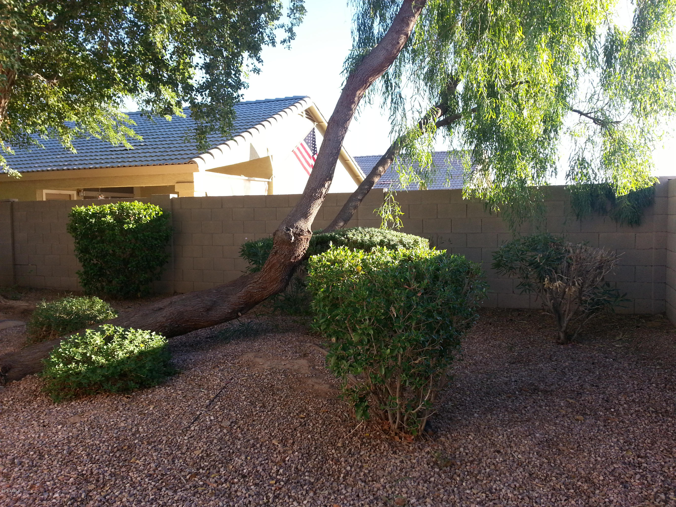 13375 West Redfield Road Surprise, AZ 85379 - Photo 28 of 30 back yard 2