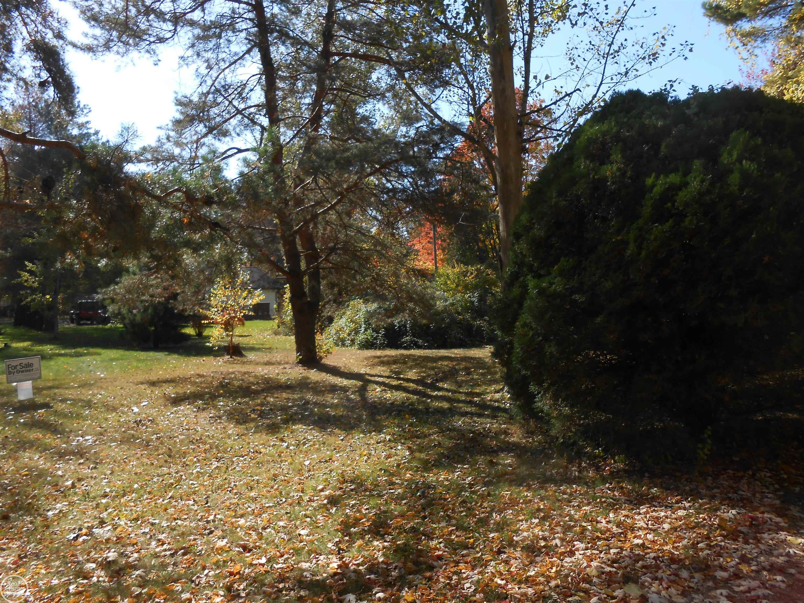 Vl Dogwood Road Lexington, MI 48450 - Photo 1 of 2