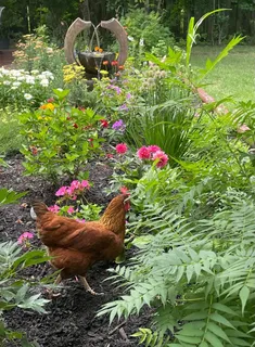 $624,999 | 5549 Laurel Avenue, La Grange Highlands, IL 60525