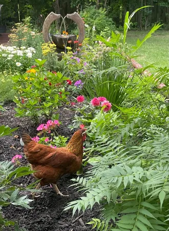 a view of a flower in a garden