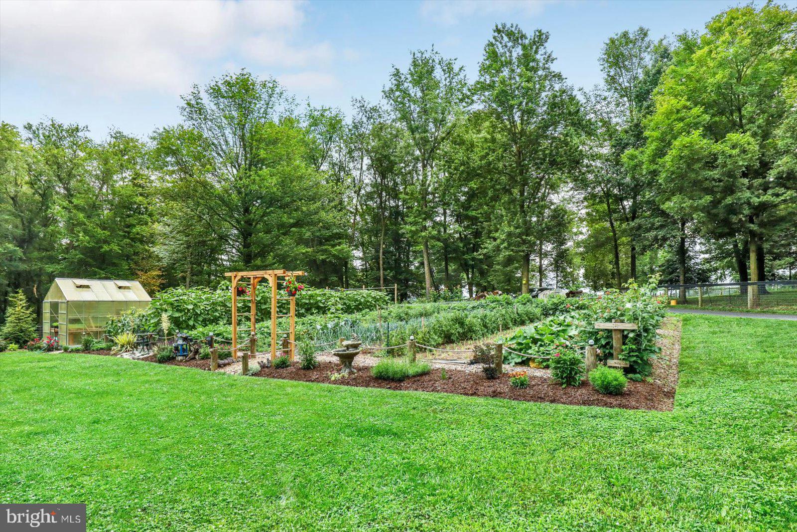 1881 Georgetown Road Christiana, PA 17509 - Photo 14 of 45 a view of yard with green space