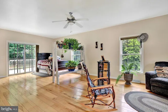 a view of living room filled with furniture and a potted plant