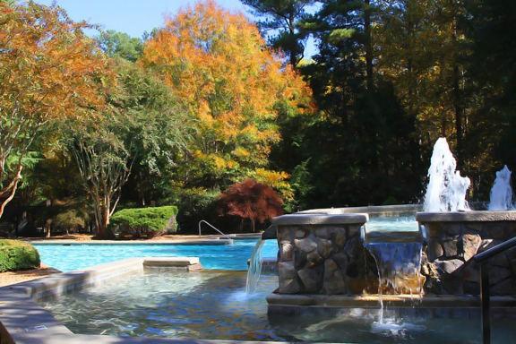 3450 K Jones Mill Road, Unit 218 Norcross, GA 30092 - Photo 19 of 29 a view of a water fountain in the backyard of house