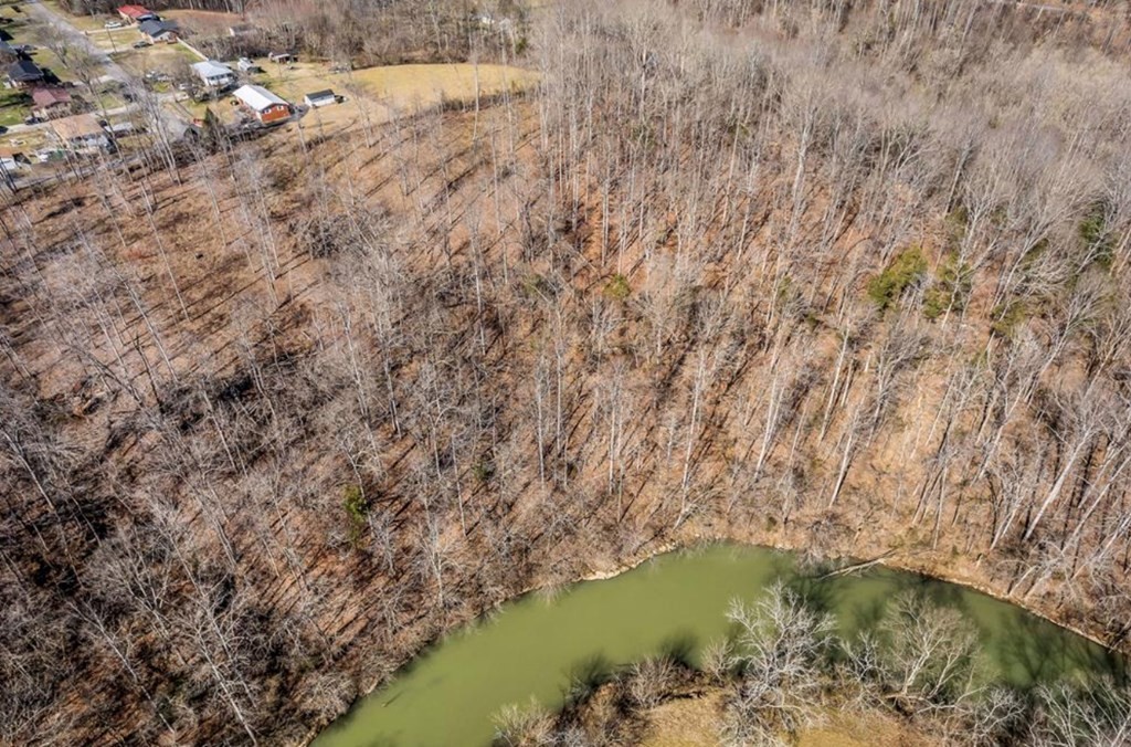 0 Forest Circle Sparta, TN 38583 - Photo 8 of 14