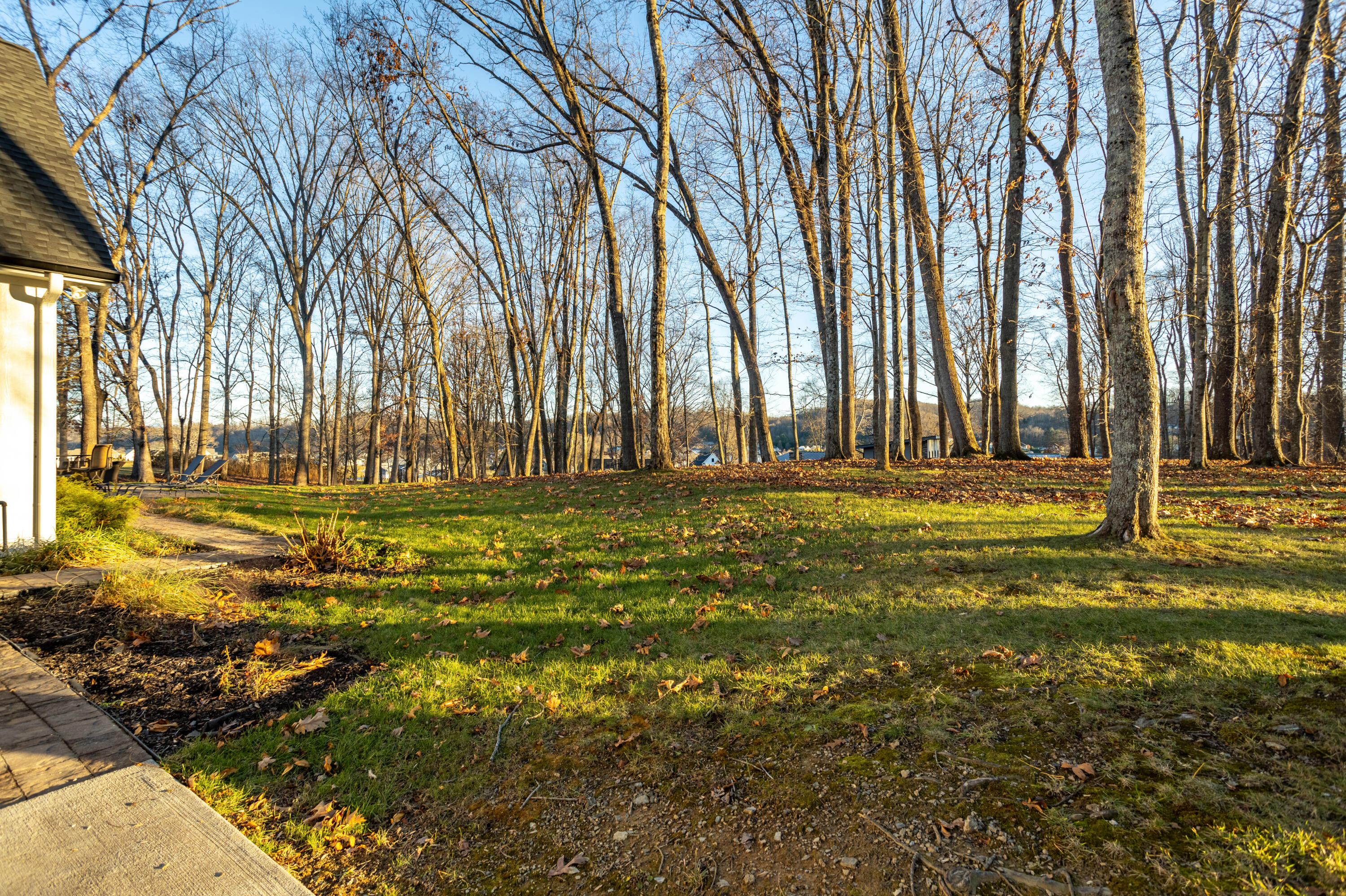 20190 Clifton Ridge Road Abingdon, VA 24211 - Photo 57 of 68 177A8041-HDR_1