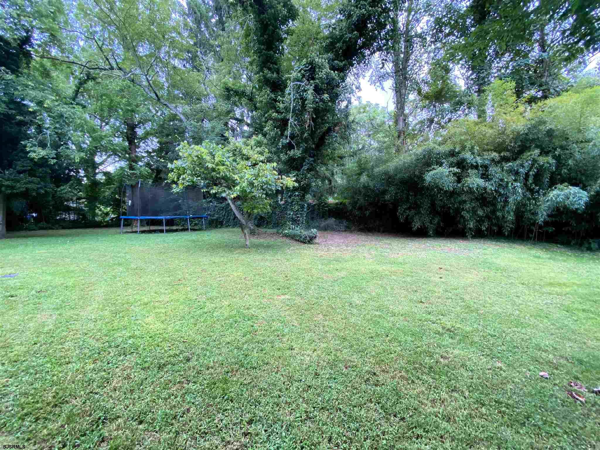 220 West Mill Road Northfield, NJ 08225 - Photo 21 of 22 a view of a green yard with a house and large trees