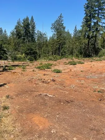 a view of ocean view with trees