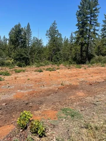 $90,000 | 0 Providence Way, Dobbins, CA 95935