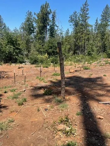 $90,000 | 0 Providence Way, Dobbins, CA 95935