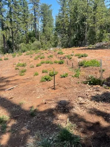 $90,000 | 0 Providence Way, Dobbins, CA 95935