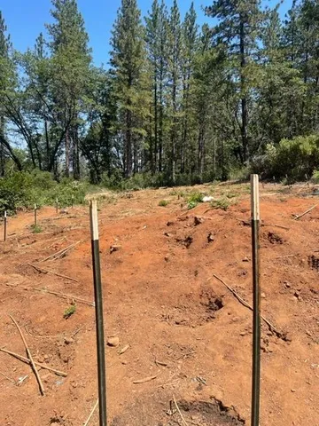 $90,000 | 0 Providence Way, Dobbins, CA 95935