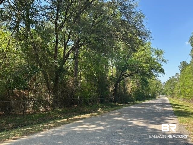 0 I-65 Service Road Satsuma, AL 36572 - Photo 21 of 27 View of road featuring a view of trees