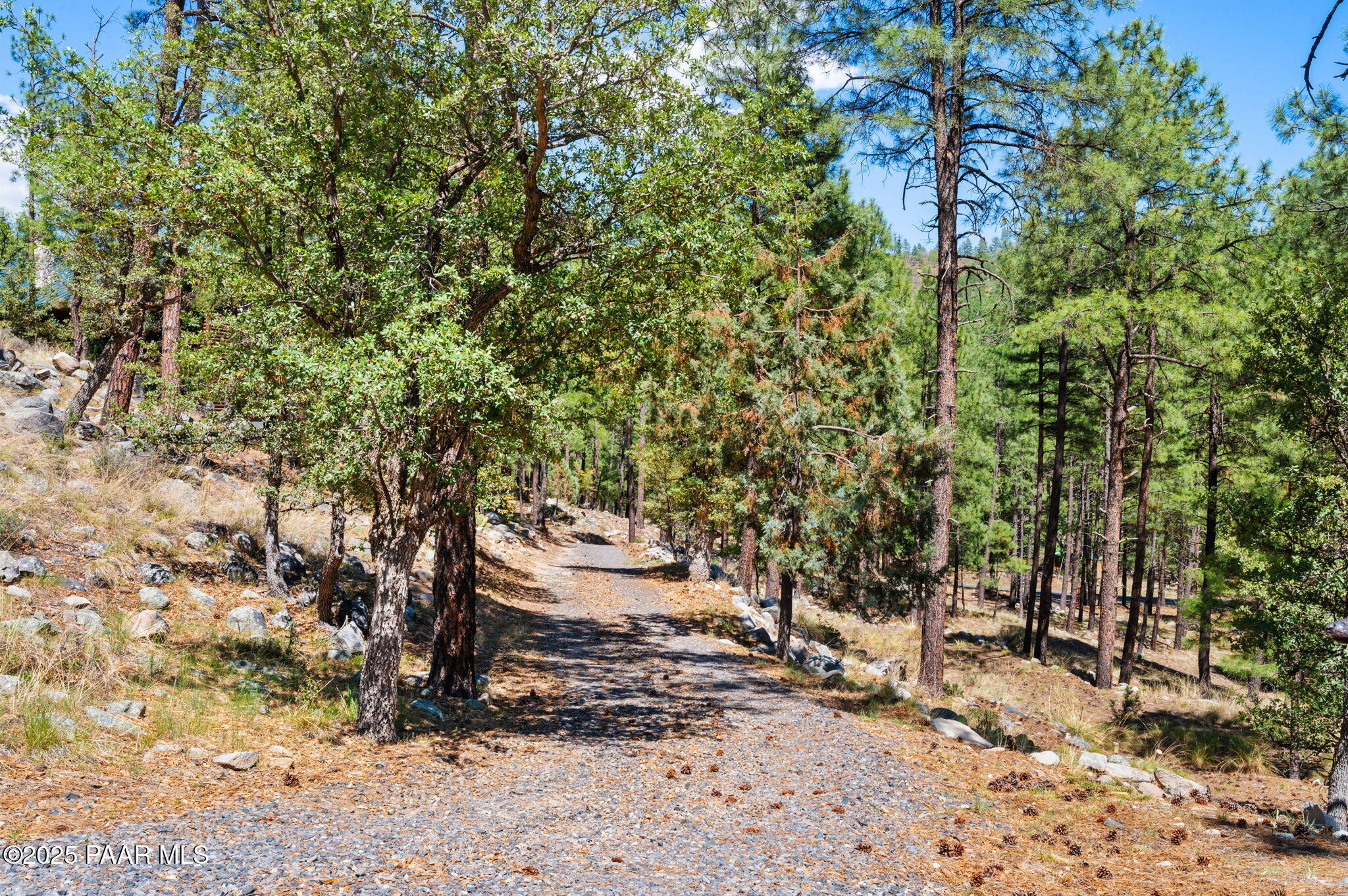 5201 East Yellow Dog Road Prescott, AZ 86303 - Photo 54 of 132 6-Grounds (2)