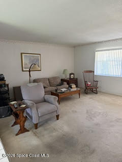 903 Jefferson Road Rockledge, FL 32955 - Photo 11 of 11 jeff 13