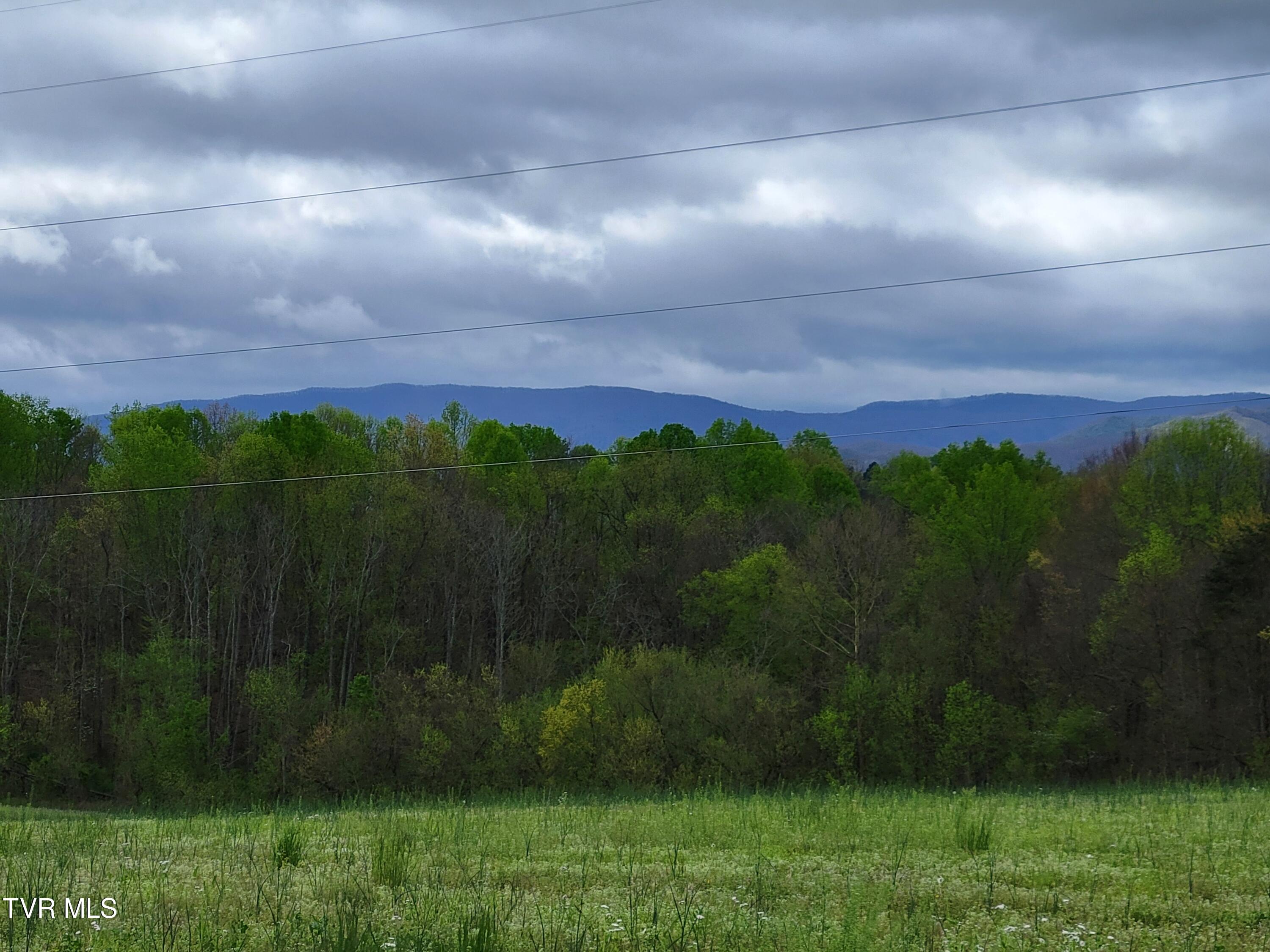 Lot-3 Bailey Bridge Road, Unit 3 Limestone, TN 37681 - Photo 2 of 8 20240411_104156
