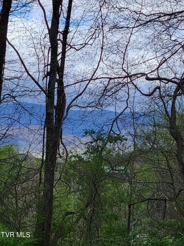 $109,900 | Lot-3 Bailey Bridge Road, Unit 3, Limestone, TN 37681