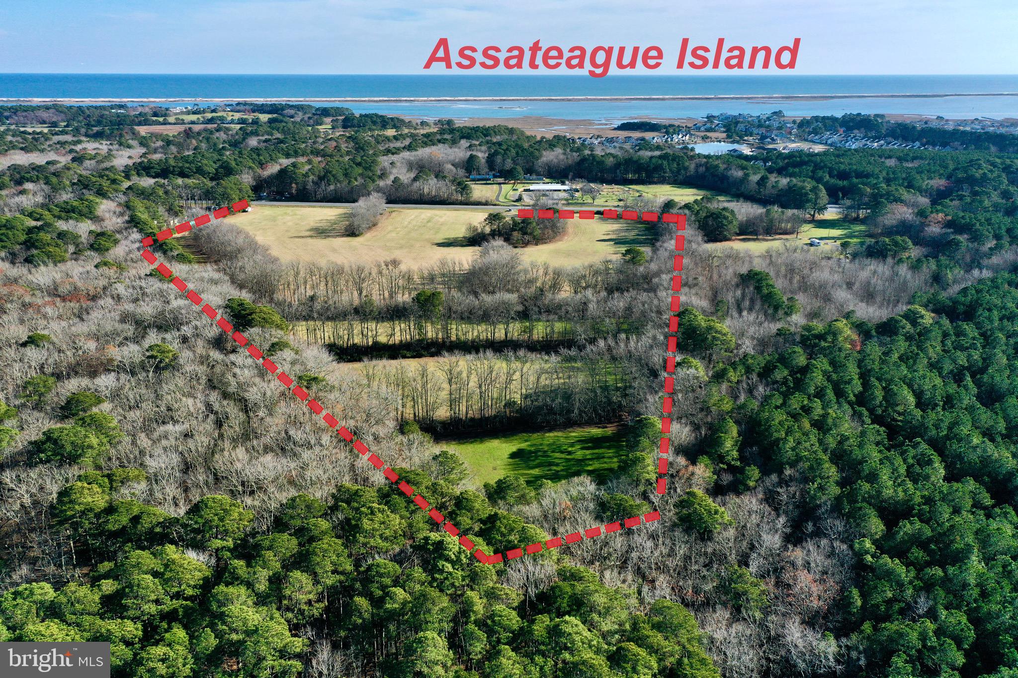 8847 Stephen Decatur Highway Berlin, MD 21811 - Photo 6 of 12