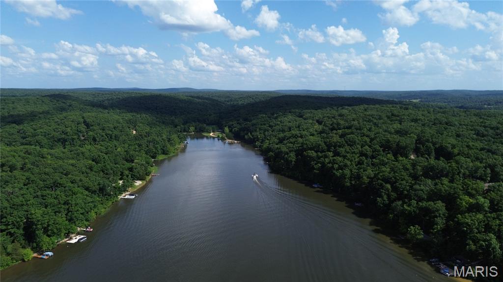 12054 Anthonies Mill Road Bourbon, MO 65441 - Photo 3 of 82