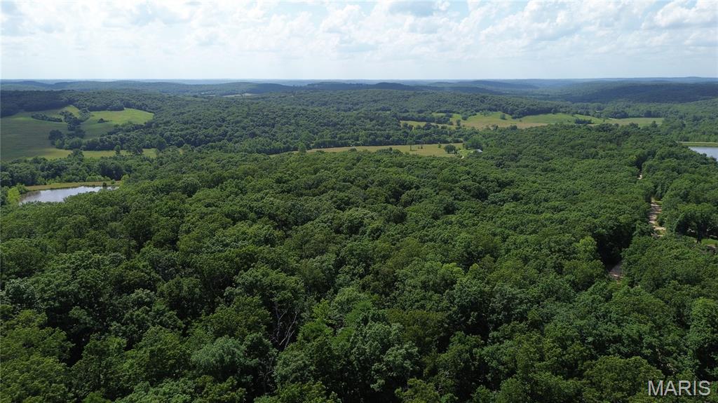 12054 Anthonies Mill Road Bourbon, MO 65441 - Photo 69 of 82