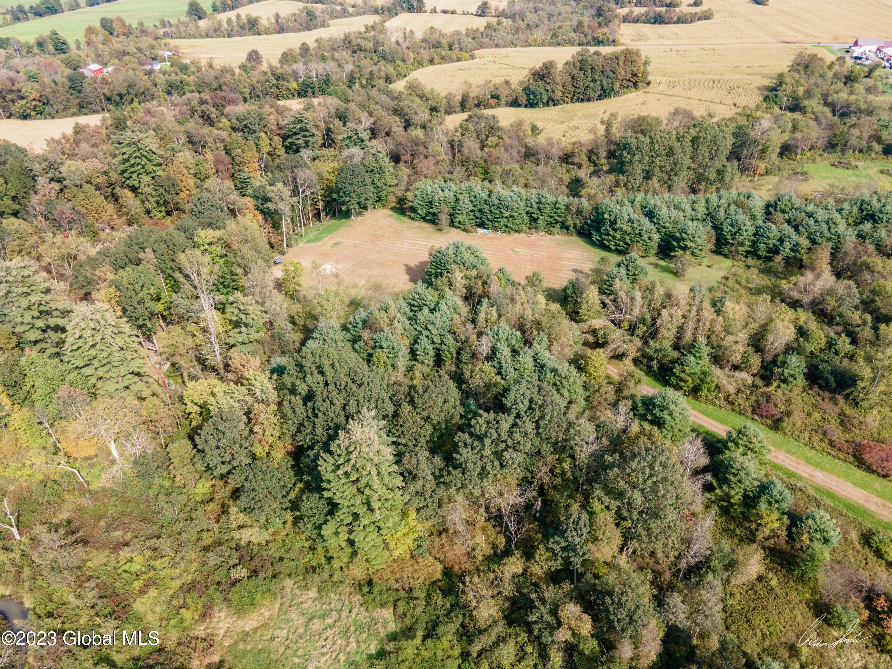 1680 Rte 32n Gansevoort, NY 12831 - Photo 13 of 34 DJI_0864