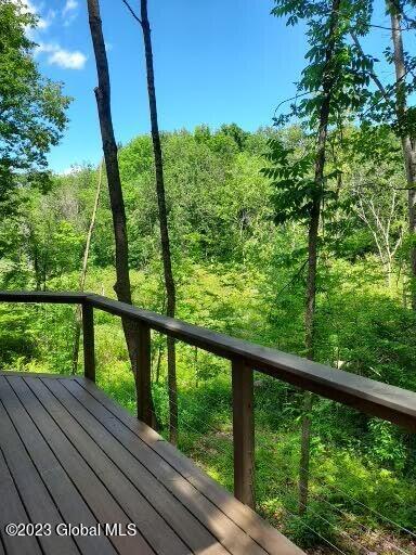 1680 Rte 32n Gansevoort, NY 12831 - Photo 27 of 34 1820