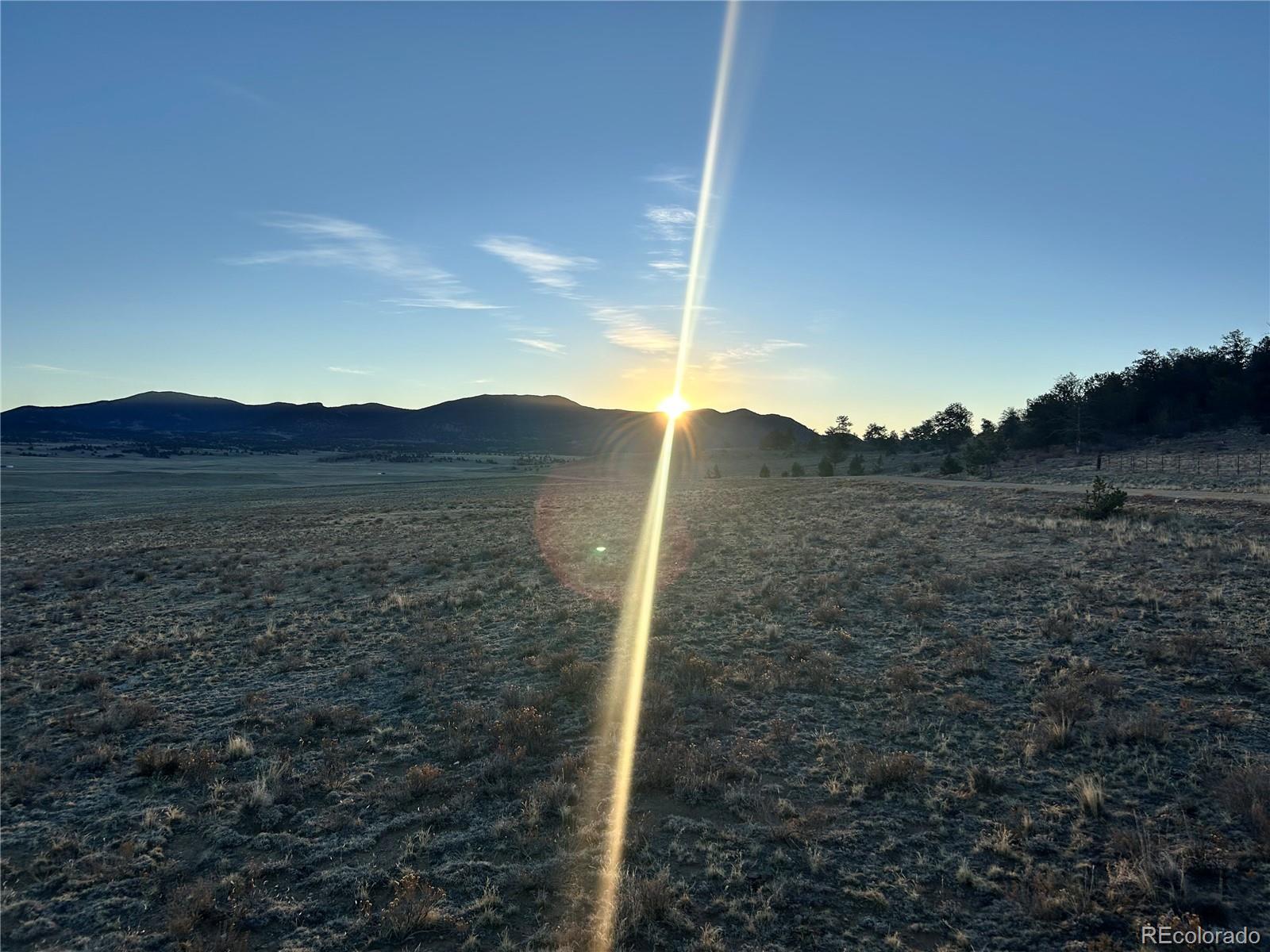 4284 Goldenberg Canyon Road Hartsel, CO 80449 - Photo 1 of 29 a view of a dry yard with trees