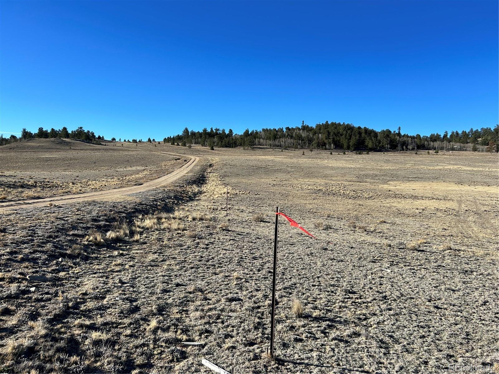4284 Goldenberg Canyon Road Hartsel, CO 80449 - Photo 19 of 29 a view of a lake