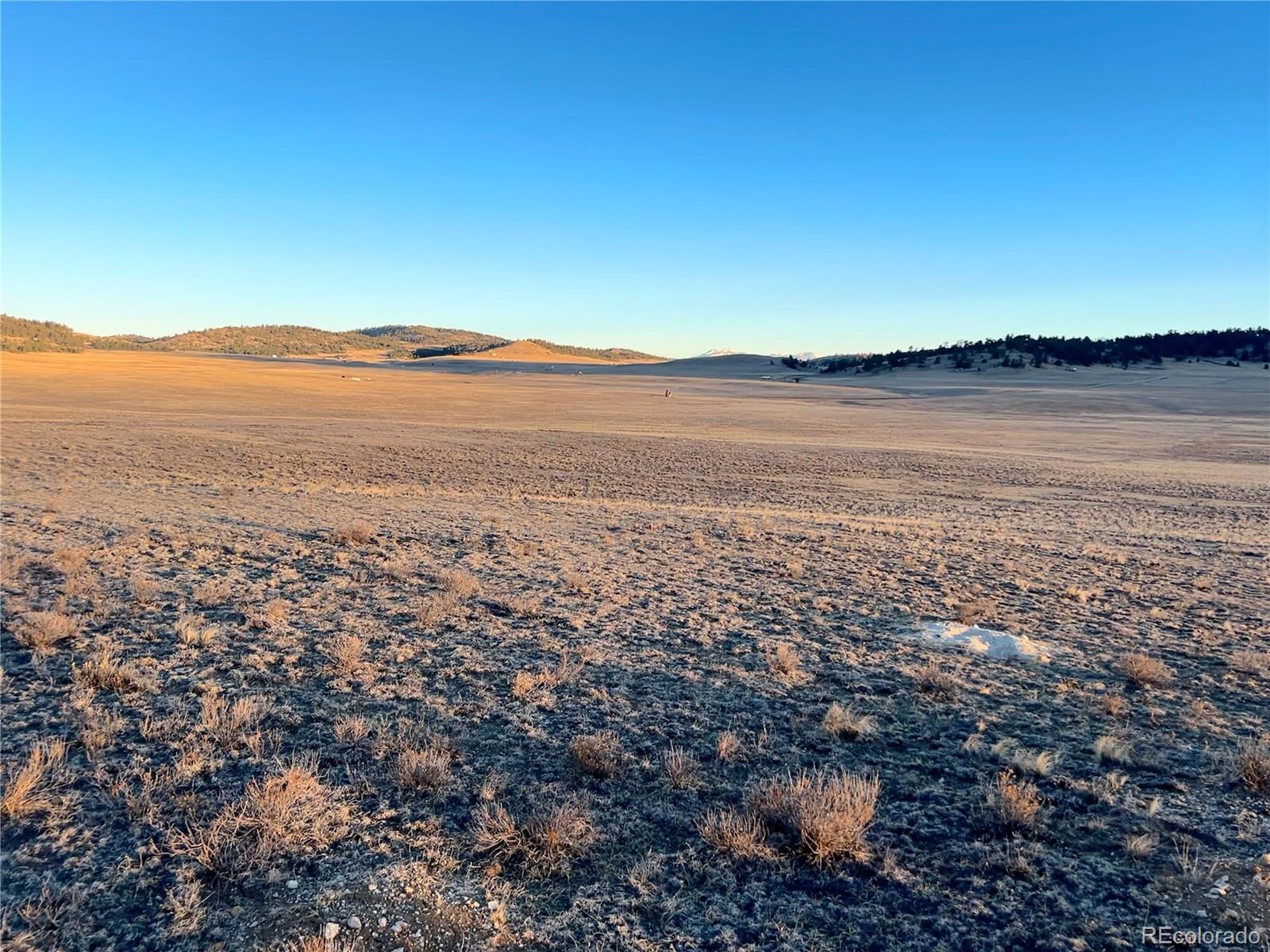 4284 Goldenberg Canyon Road Hartsel, CO 80449 - Photo 3 of 29
