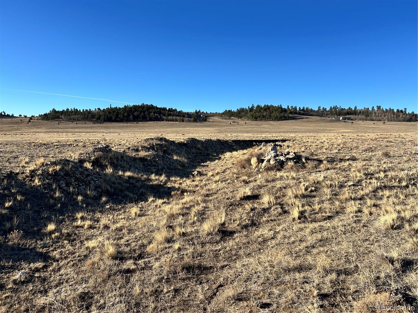 4284 Goldenberg Canyon Road Hartsel, CO 80449 - Photo 7 of 29 a view of lake