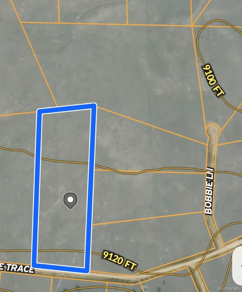 4284 Goldenberg Canyon Road Hartsel, CO 80449 - Photo 8 of 29