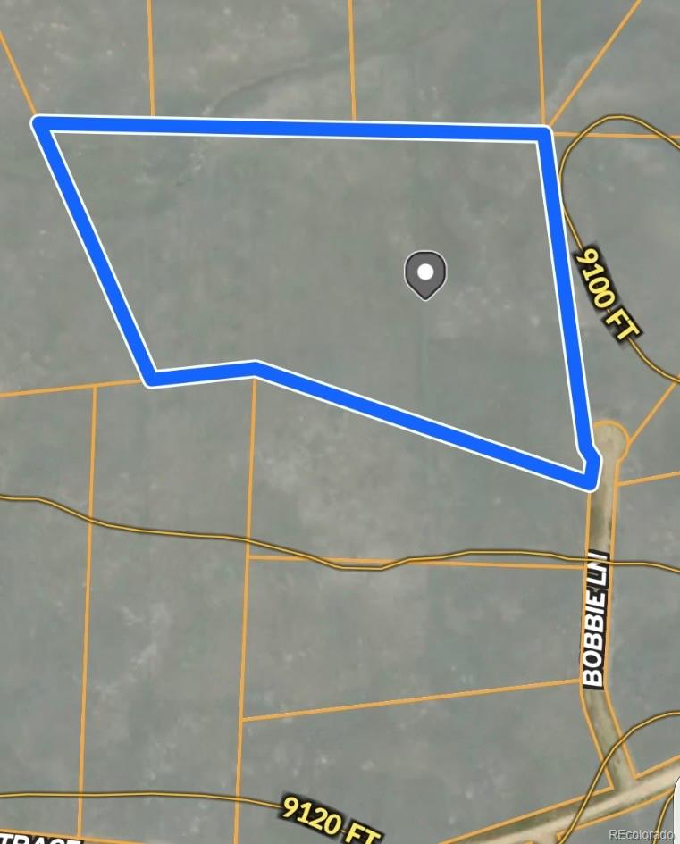 4284 Goldenberg Canyon Road Hartsel, CO 80449 - Photo 9 of 29 a view of utility room