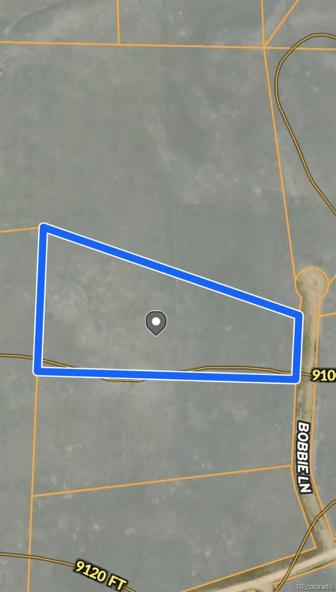 4284 Goldenberg Canyon Road Hartsel, CO 80449 - Photo 10 of 29 a close view of closet