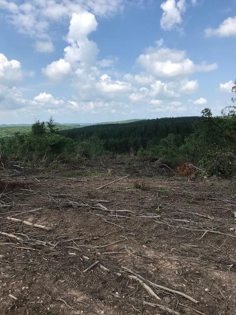 7 County Road 963 Calhoun, TN 37309 - Photo 8 of 10
