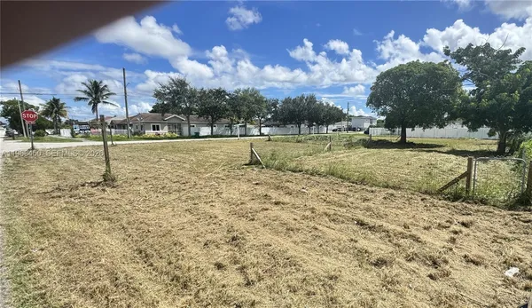 a view of a playground with lots of palm trees