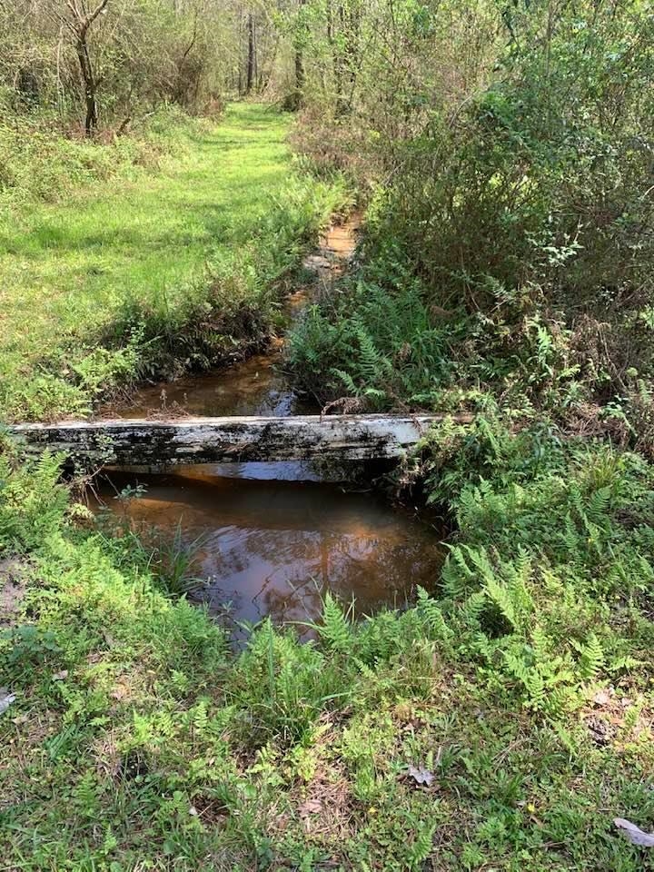 26264 Feely Road Elberta, AL 36530 - Photo 16 of 30