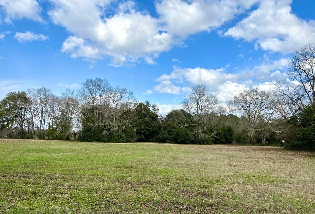 0 Brodie Street Springfield, SC 29146 - Photo 3 of 4 Nesseshwy2